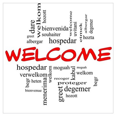 LEARNING A FOREIGN LANGUAGE (WRITING & LANGUAGE)